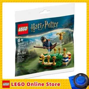 LEGO Harry Potter: Quidditch Practice Polybag 30651 for Ages 6+ Birthday Christmas Gift (55Pieces)