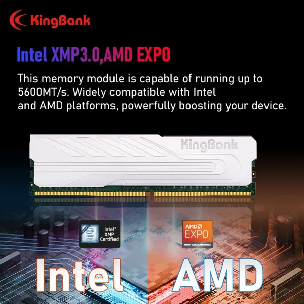 KingBank Memoria Ram DDR5 RAM 16GB 32GB 16GBx2 5600MHz XMP 3.0 DIY Computer Gaming Desktop Memory CL36 - Image 3